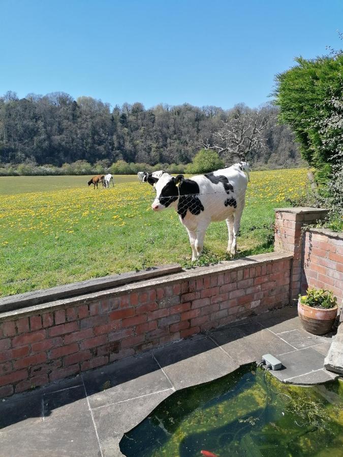 Riverside Διαμέρισμα Chepstow Εξωτερικό φωτογραφία